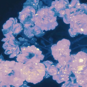 腹肌体育生gary2023款报价
